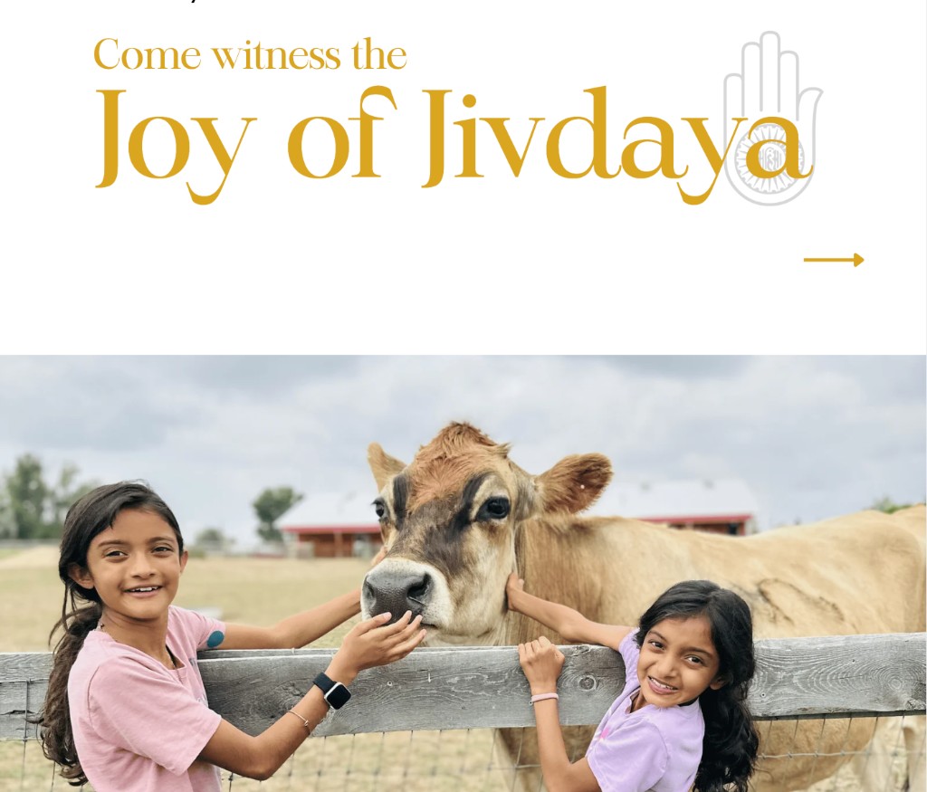 Joy of Jivdaya Tours